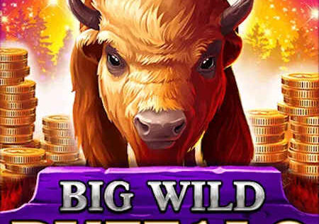 Big Wild Buffalo